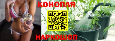 apvp Кунгур