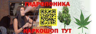 apvp Кунгур