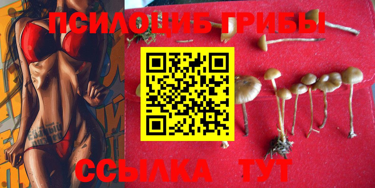 Галлюциногенные грибы Psilocybine cubensis Ейск