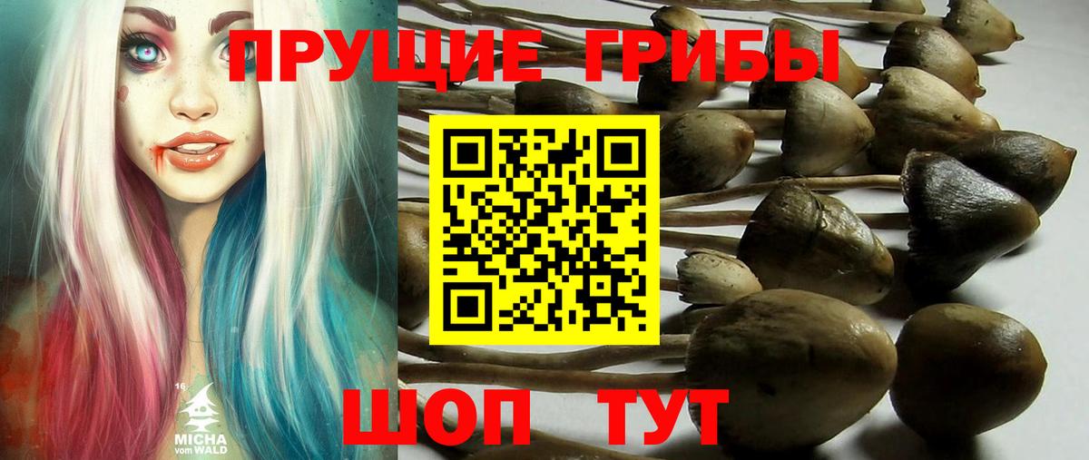 Ейск  Галлюциногенные грибы Psilocybe  Вход с VPN 