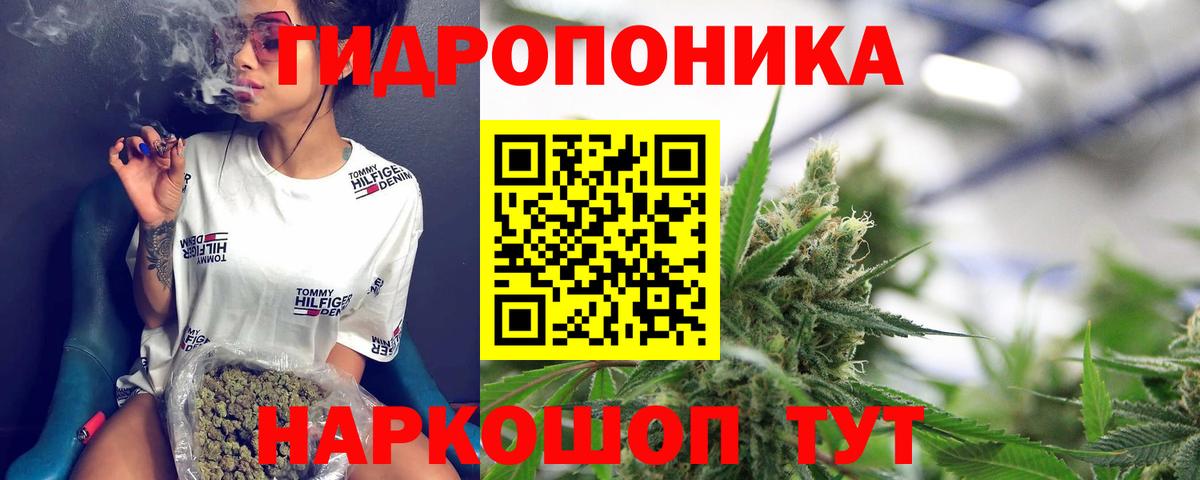 Шишки марихуана конопля Ейск